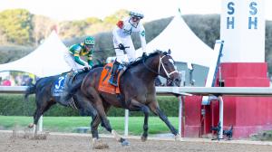 NTRA poll Triple Crown Nysos Sierra Leone Timberlake Track Phantom Muth Fierceness Hades Locked Mystik Dan Dornoch